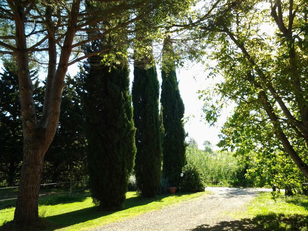 Agriturismo Piana Arborello Hotel Magliano in Toscana Kültér fotó