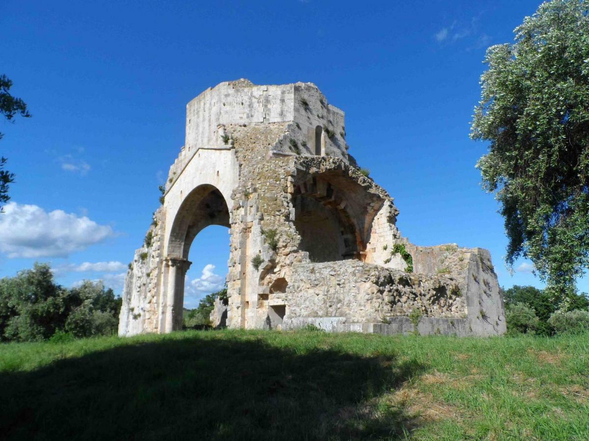 Agriturismo Piana Arborello Hotel Magliano in Toscana Kültér fotó