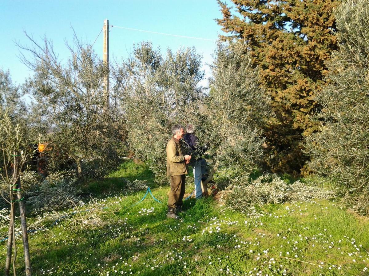 Agriturismo Piana Arborello Hotel Magliano in Toscana Kültér fotó